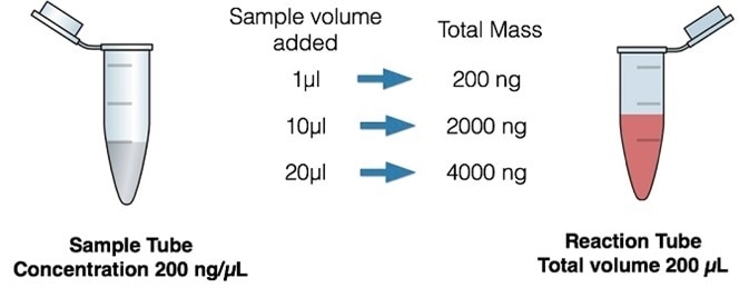 Effect of sample volume on total mass of DNA in an assay.