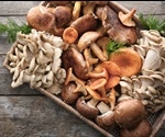 Risk assessments of mushroom consumption should factor in cooking and digestion