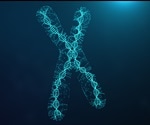 How Can We Build Artificial Chromosomes?