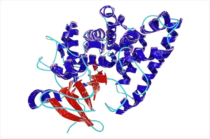 Enzyme in Biosynthesis