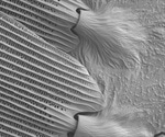 Advances in Scanning Electron Microscopy