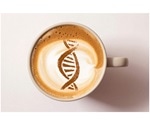 Statistics used to find how genetics influence coffee intake