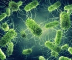 Bacterial acid tolerance system shown to confer growth capability to enteric bacteria
