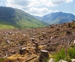 Deforestation and its Drawbacks