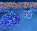 Mutant Splicing Factors as Oncogenes