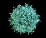 Preventing viral infections by protein shell misassembly