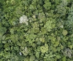 Plant Diversity In European Forests Is Declining