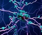 Effects of Cell Death on Neurodegeneration