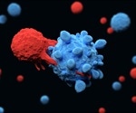 Experience Matters For Immune Cells