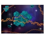 Researchers use CRISPR technology to control many genes simultaneously