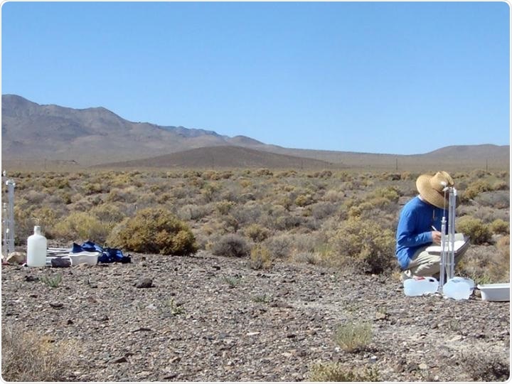Study shows soil infiltration can stabilize desert soils