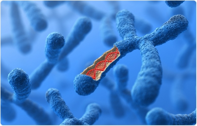 New sequencing method helps map the spatial arrangement of DNA