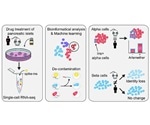 Determining effect of drugs in pancreatic islets through single-cell RNA-seq approach
