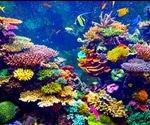 Biodiverse Coral Reefs Still Vulnerable To Climate Change And Invasive Species