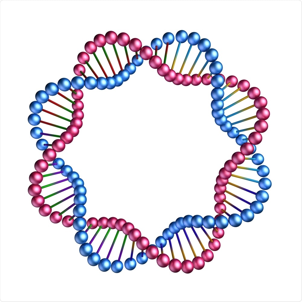 Circular DNA