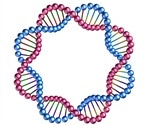 Scientists Develop Tool To Sequence Circular DNA