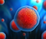 How could Stem Cells be Used in Drug Discovery?