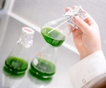 Algae show excellent potential for green energy production