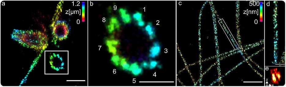 Super-Resolution Microscopy Methods Reveal the Smallest Cell Structures