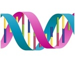 Study shows how proteins prevent DNA replication errors