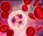 What are Neutrophils?