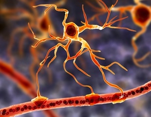 Discovering the Critical Role of Astrocytes in Neurodegenerative Diseases