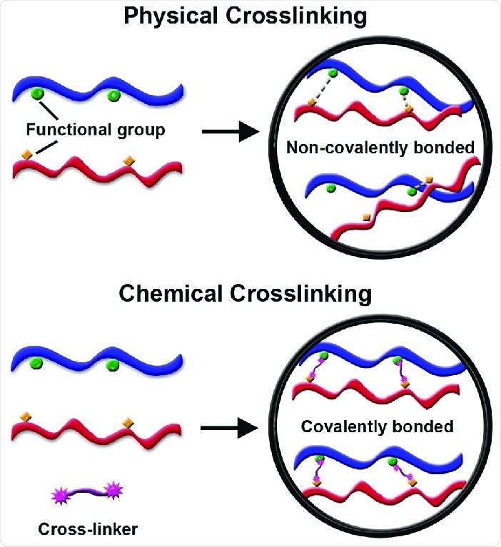 Chemical Crosslinking