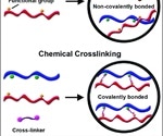 Chemical crosslinking data helps study protein dynamics