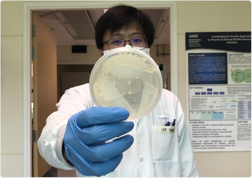 New method reverses antibiotic resistance in certain bacteria