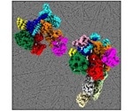 Protein structural study may lead to more improved research on disease development
