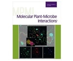 Novel method to enhance biological nitrogen fixation in modern soybean cultivars
