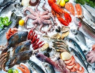 Seafood study finds plastic in all samples