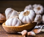 Discovery Could Lead To More Potent Garlic, Boosting Flavor And Bad Breath