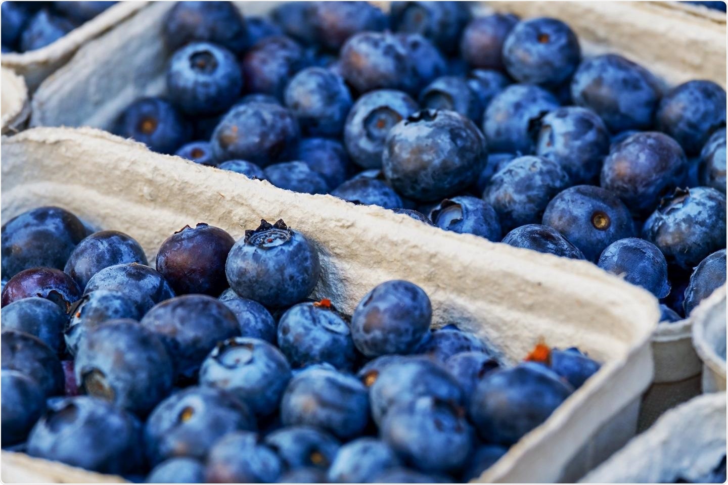 Polyphenolic compound extracted from blueberry can treat inflammatory bowel disease
