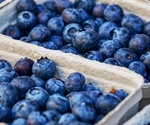 Polyphenolic compound extracted from blueberry can treat inflammatory bowel disease