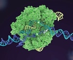 Novel tool helps select the best gene-editing option