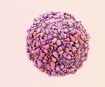New study unravels genetic vulnerability in breast cancer tumors