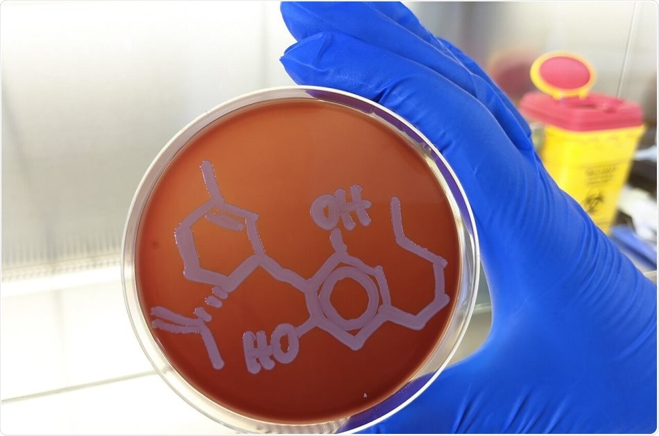 Synthetic cannabidiol can kill bacteria that cause gonorrhoea, meningitis, legionnaires disease