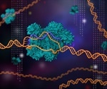 New variant of CRISPR-Cas9 tool expands genomic editing in plants