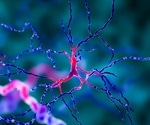 Viral diseases likely to contribute to neurodegeneration, says study