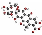 Study provides novel insights into the breakdown of carminic acid
