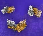 Researchers predict protein binding based on shape using fastest supercomputer