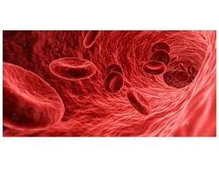 Study identifies molecular changes in red blood cells that cause vascular damage in type 2 diabetes
