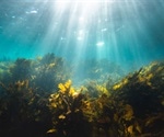 Substances from marine plants show promising results against Covid, says study