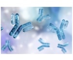 Antibodies play a major role in managing gut mycobiota, says study