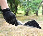 How Does Biochar Affect the Environment?