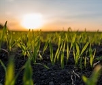 Impacts of Climate Change on Soil Health