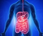 Experts determine the molecular structure of a gut protein