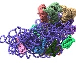 Novel information leads to identification of new protein communities
