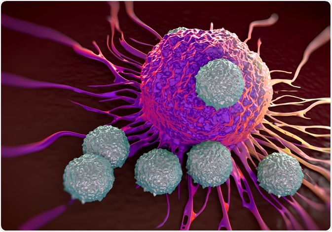 T Cells attacking cancer cell
